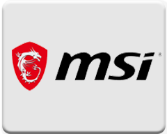 MSI